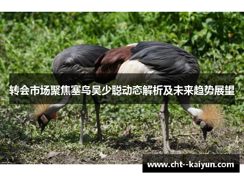 转会市场聚焦塞鸟吴少聪动态解析及未来趋势展望